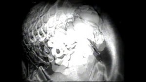 хестон & benjamingotbenz – bratz produced by playa$in & forlxrn