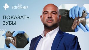 Показать зубы — Как устроен мир с Тимофеем Баженовым (20.03.2023)