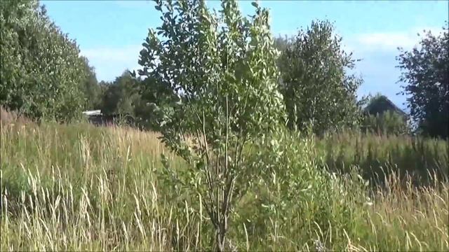 Заброшенная деревня.Костромская область.