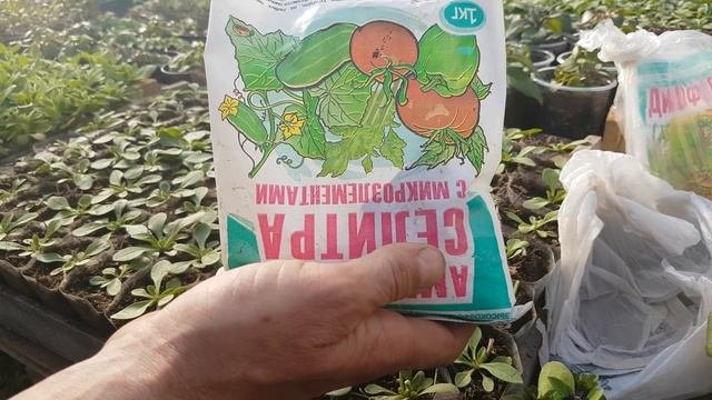 ПОДКОРМКА ПЕТУНИИ УСКОРИТЕЛЬ ДЛЯ РОСТА корней. УДОБРЕНИЕ для рассады видео