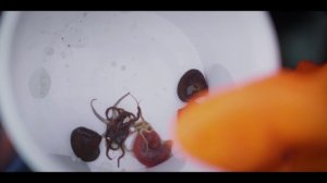 ЭКСПЕДИЦИЯ НА КРАЙ ЗЕМЛИ