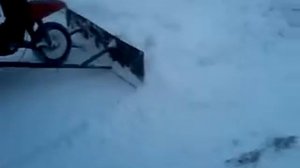 Лопата на муравье.