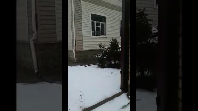 КОВАНЫЕ ОТКАТНЫЕ ВОРОТА НА ЗАКАЗ БИШКЕК ТЕЛ 0555060905 смотреть онлайн