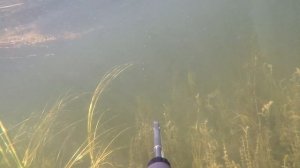 подводная охота озеро Балхаш август 2022