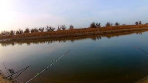 х Вербовский Калачевского района Волгоградской области первый блин комом