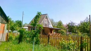 Черешня. Результат лечения препаратом Хорус.