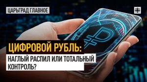 Цифровой рубль: наглый распил или тотальный контроль?