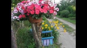 Посмотрите 33 идеи красивых цветников на даче