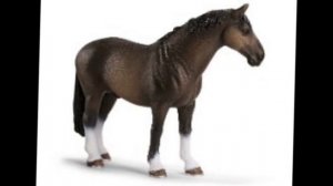 Сравниваем SCHLEICH и настоящих лошадей