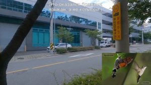 Подарки от мужа корейца не день рождения. Катя и Кюдэ/Южная Корея