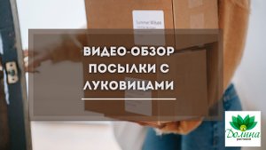 Распаковка посылки с луковицами от Долины растений???