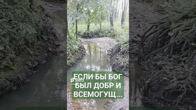 Если бы Господь Бог был добр и всемогущ...