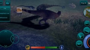 Гайд для новичков в the cursed isle