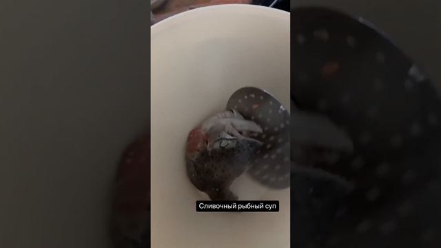 Сливочный рыбный суп смотреть онлайн