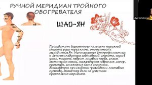Философские основы Китайской медицины.  Меридианы тела человека.