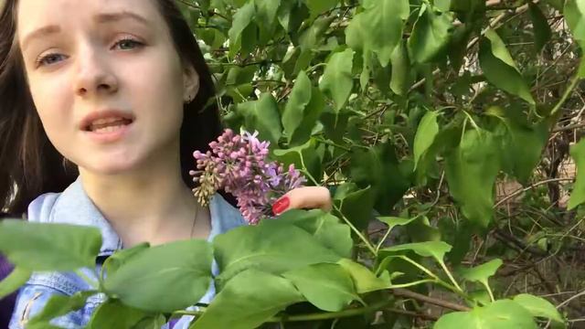 Как правильно фотографироваться с сиренью👌😎/ смотреть онлайн