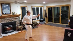 Zoom Training - U of M Shotokan Karate Club  Nov 18 2020