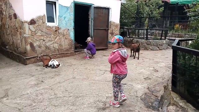 Ялта зоопарк Сказка. Бабушкин дворик) смотреть онлайн