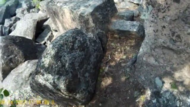 Тайга(Новая камера) смотреть онлайн