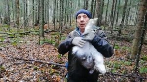 Охота на зайцев 42