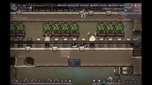 Зомби-споры выбрались на свободу | Oxygen not included Spaced out
