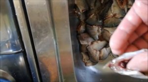 Котлеты из карася
