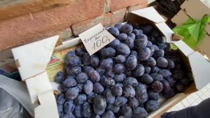 VLOG Алиса снова БЕСИТСЯ !