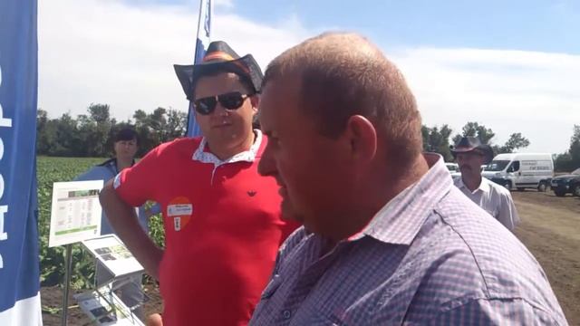 Бетанал МаксПро - нюансы технологии защиты от сорняков по схеме Бетанал МАСКМИКС