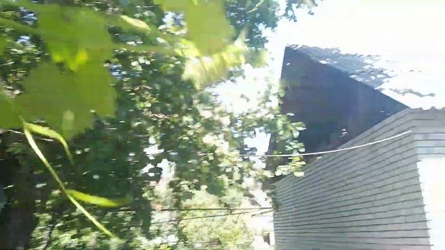 Как собрать 5 килограмм шелковицы за 5 минут! смотреть онлайн