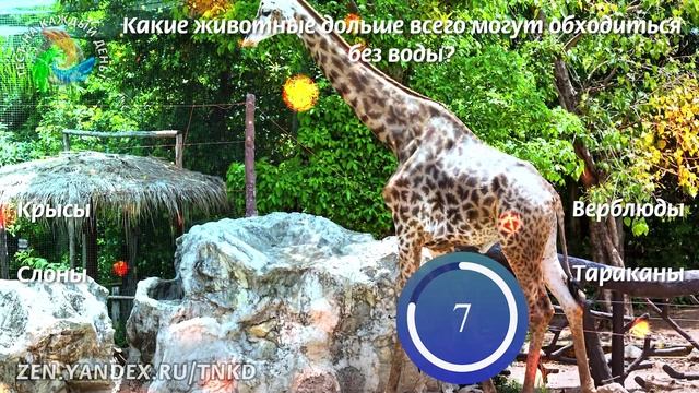 Тест на эрудицию. 2 смотреть онлайн