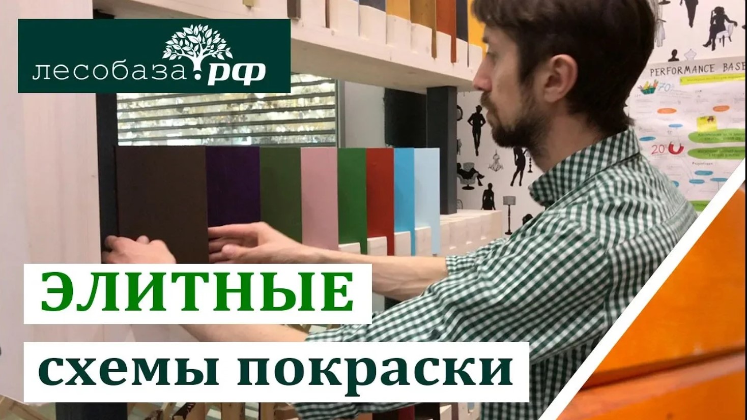 Элитные схемы покраски от Лесобаза.РФ