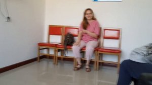 Китай ХЭЙХЭ Стоматология