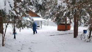 База отдыха Берёзовая роща.