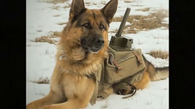 Оксана Скоропад - Актриса театра и кино. Отзыв о Докторе Назимовой и ДН-Клинике. смотреть онлайн