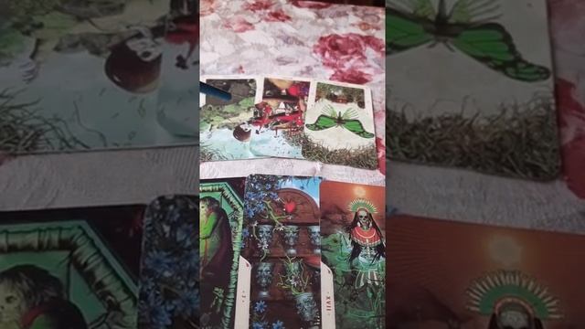 ?ЧТО ОЗНАЧАЕТ СОН КОТОРЫЙ Я ВИДЕЛ? 2 ВАРИАНТ✨ смотреть онлайн