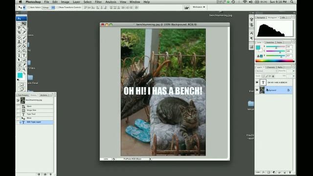 I Has A Photoshop Tutorial 2: How to Make a LOLCAT смотреть онлайн