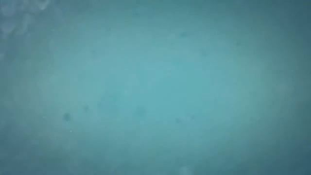 TWERK INTRO TEMPLATE Sony Vegas 13 #2 смотреть онлайн