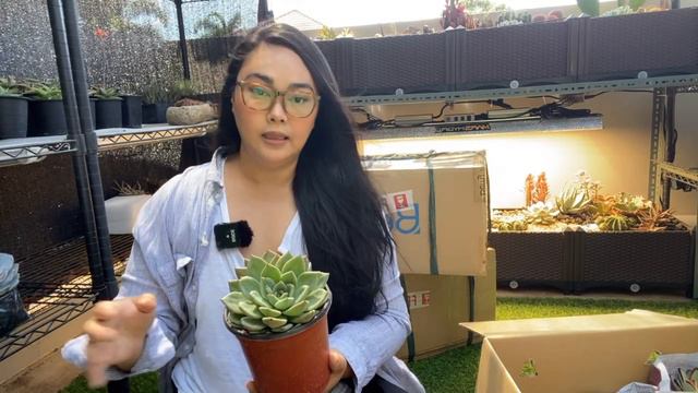 THE BEST SUCCULENT HAUL EVER!! смотреть онлайн