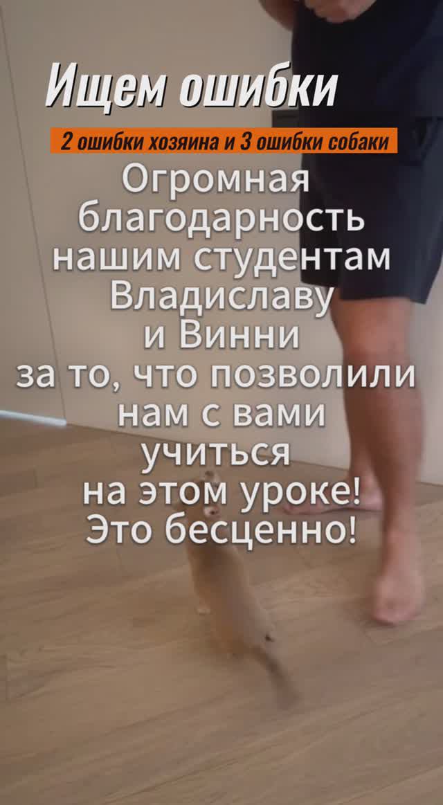 Найдите ошибки в тренировке!