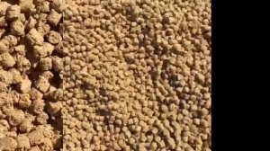 Приготовление корма для форели на экструдере с насадкой гранулирования