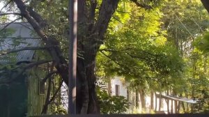 Прогулка по Москве. Усадьба Ясенево. Интересно и грустно