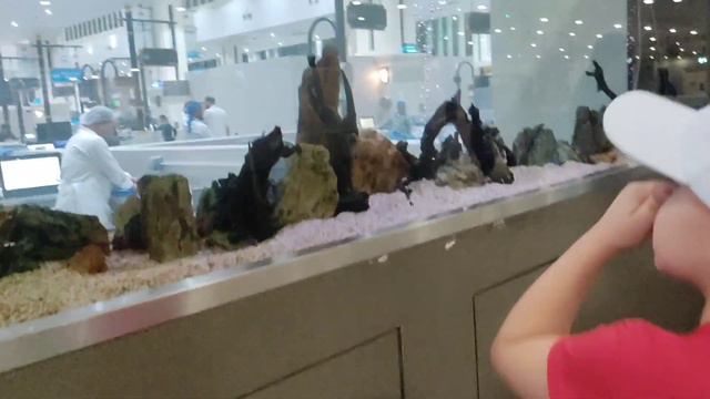 ШАРДЖА В ЯНВАРЕ 2024🇦🇪Привет море 🏖️ Рынок фруктов и рыбы 🐟🐙🍉🍓Обмен долларов 💸Наш день 12 января 👬 смотреть онлайн