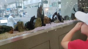 ШАРДЖА В ЯНВАРЕ 2024🇦🇪Привет море 🏖️ Рынок фруктов и рыбы 🐟🐙🍉🍓Обмен долларов 💸Наш  день 12 января 👬