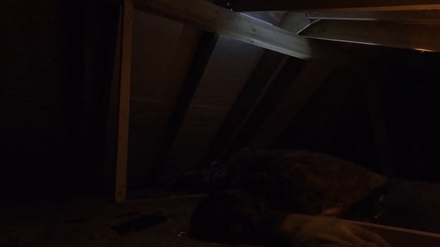 Установка чердачной лестницы FAKRO LTK ДОМ С НОЛЯ №17 смотреть онлайн