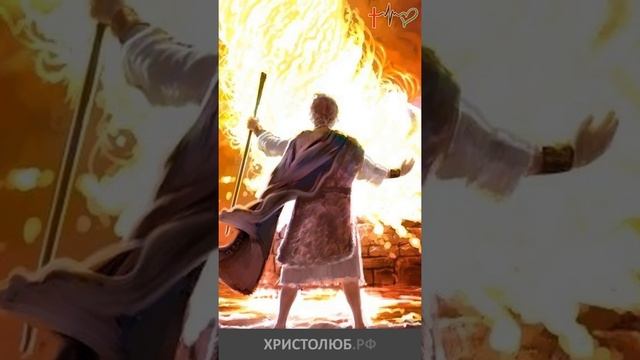 #ИИСУС #ХРИСТОС пришёл не губить, а спасать людей #НовыйЗавет #Библия @ХРИСТОЛЮБ ✝️ @ВЕГАН ? #short смотреть онлайн