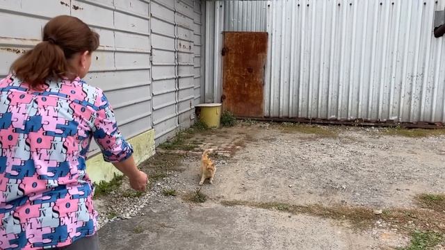 296/Переезд в Россию. Страх в душе, Настроения нет. Но,Цветы подарили ! Пельмени налепили. Сибирь ! смотреть онлайн