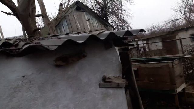 Дробим ветки.