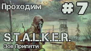 Уютный ламповый стрим. S.T.A.L.K.E.R.: Зов Припяти. Всем фанатам посвящается)