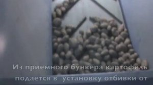 Линия для обработки картофеля и других корнеплодов