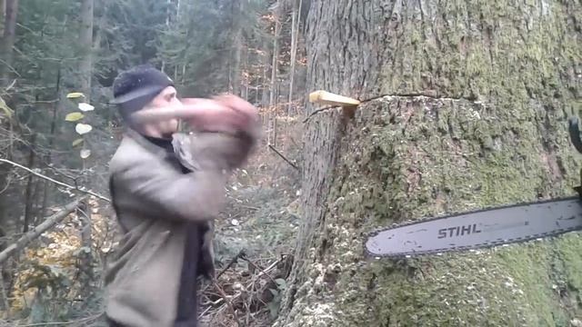 Валка лісу. Shtill 361 смотреть онлайн